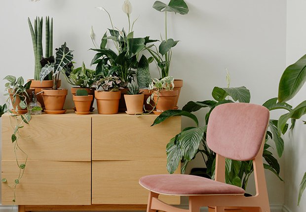 Home Decor Trends